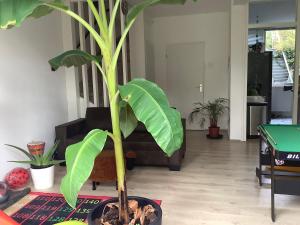 Χώρος καθιστικού στο Cricri