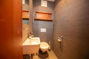 a bathroom with a white toilet and a sink at Duxeranger C Top 8 in Krimml +5 photos
