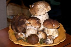 Un grupo de hongos en un plato sobre una mesa. en Les bleuets, en Bolquere Pyrenees 2000 29 fotos más