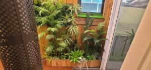 a garden with plants on a wooden wall at 감성 독채 매지헌 in Wonju