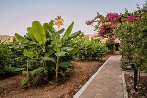 Gallery image of Hotel Athena in Kokkari