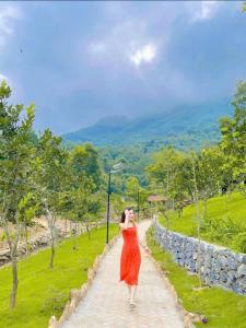 Příroda nedaleko chaty