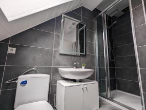 une salle de bain avec toilettes et lavabo dans l'établissement 3-Zimmer Apartment in Wittenberge, à Wittenberge