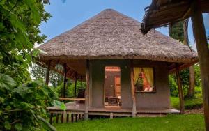 a small hut with a thatched roof at Sharp Island Gorilla Lodge, Lake Bunyonyi in Kashasha