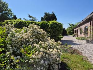 a bush of flowers in front of a building at Vakantiehuis Joghmanstuin in Kapel-Avezaath