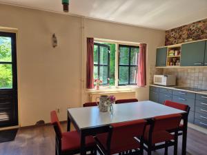 a kitchen with a table and red chairs at Vakantiehuis Joghmanstuin in Kapel-Avezaath