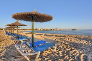 a row of chairs and umbrellas on a beach at Aurea 1 Luxury House in Antigua
