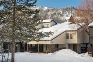 Το RMR: Cinquefoil 1612 Condo in The AspensWilsonWY τον χειμώνα