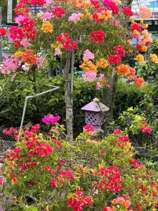 a garden filled with flowers and a bird house at Ba Hung homestay in Ấp Hòa Phú (2)