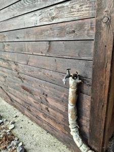 een python is vastgemaakt aan een houten muur bij La jonquiere camping in Landouzy-la-Cour