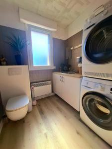 un bagno con lavatrice e lavatrice di L'appart du bonheur à Reims a Jonchery-sur-Vesle