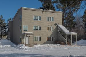 Το RMR: Mountain Ash 3 Condo in The AspensWilsonWY τον χειμώνα
