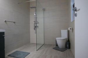 a bathroom with a glass shower with a toilet at Pensiunea Agroturistica Darius in Baia de Fier +29 photos