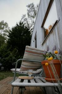 a chair on a porch with a table and a flower pot at Tiny House Alba - ervaar tiny house living in Diessen
