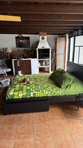 a bedroom with a large bed in a room at Loft Tortuga in Tinajo +30 photos