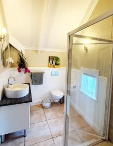 a bathroom with a shower and a sink and a toilet at Clementine Cottage in Citrusdal +12 photos
