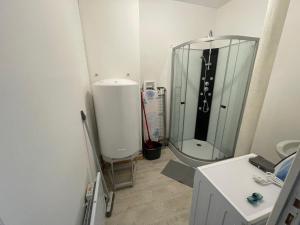 a bathroom with a shower and a sink and a mirror at Business Apparts Caudry in Caudry