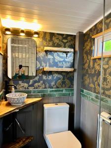 a bathroom with a toilet and a mirror at Tŷ Ni Tiny Houses in Bridell +67 photos