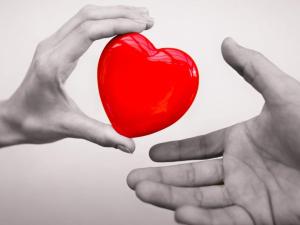 two hands holding a red heart between them at Hjortens vandrarhem in Herräng