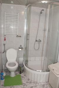 Un baño con ducha, inodoro y lavabo. en Oliwier, en Rewal