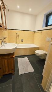 a bathroom with a sink and a tub and a toilet at Almrose Zauber by Alpenchalet Almrose in Oberau +7 photos