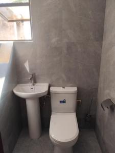 a bathroom with a toilet and a sink at Dacaso Apartments in Solwezi
