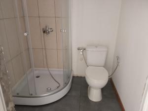 a bathroom with a toilet and a shower at studio with a fireplace in Zugdidi
