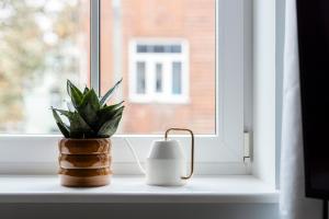 a plant sitting on a window sill next to a plant at Anna Studio in Tallinn
