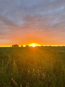 Saint-André-de-la-Marcheにある"La Petite Félixière" à 25 min du Puy du Foù, 10 min de Cholet, et 35 min de Nantesの夕日を背景にした草原