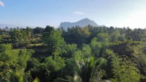 Vue aérienne d'une forêt avec des montagnes en arrière-plan dans l'établissement Vista Linda Farmstaycation, à Alitagtag
