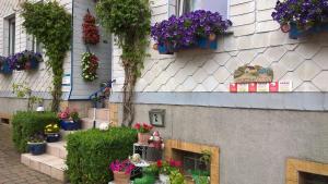 O grădină în afara Ferienwohnung in Spesenroth mit gemeinschaftlichem Pool, Garten und Terrasse