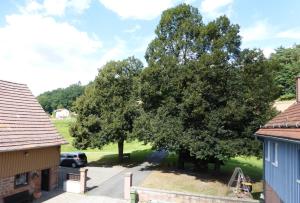 a large tree in a yard between two buildings at Ferienunterkünfte Zur Mühle in Mossautal +104 photos