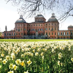 a building with a field of flowers in front of it at La casa di Dante - Racconigi in Racconigi