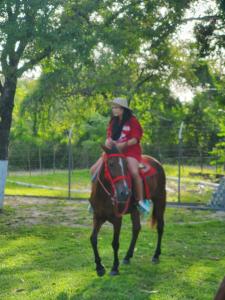 a woman riding a horse in a park at cozy corner with pool minutes away from the beach in La Paz +61 photos