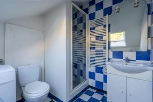 a bathroom with a toilet and a sink at Le Grenier - Blois hyper centre in Blois +3 photos