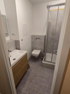 a bathroom with a toilet and a sink and a shower at Komfortable 2-Zimmer-Monteurwohnung für 4 Personen in Leipzig in Leipzig
