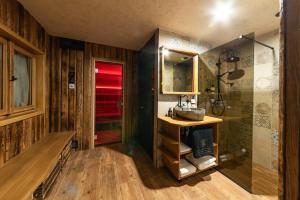 a bathroom with a sink and a shower at Wellnes Hříbek in Dyjákovice +40 photos