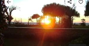 a sunset with the sun shining through some trees at A beautiful Beach House Gjiri Lalzit in Fushë-Draç