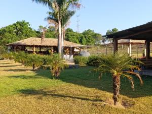 a resort with palm trees in front of a building at Chácara Recanto Dona Celeida in Goiás