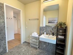 a bathroom with a sink and a mirror at Studio Apartments Lumper Höhe in Ravensburg +12 photos