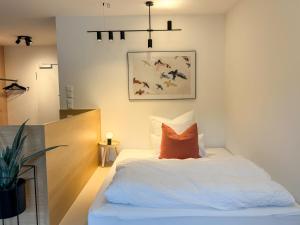 a bedroom with a bed with an orange pillow at Studio Apartments Lumper Höhe in Ravensburg