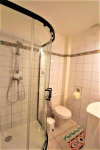 un baño con ducha y WC en Gîte et chambre d'hôtes LE MERCOIRE, piscine chauffée et jacuzzi, en Aubenas