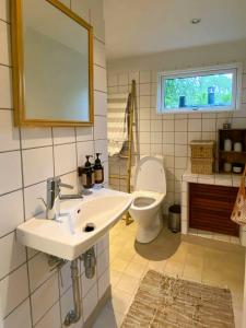 un baño con lavabo e inodoro en Romantic Island Cottage In Cosy Style Near Beach, en Maribo 32 fotos más
