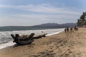 Φωτογραφία από το άλμπουμ του Costa Dorada Costa 402 σε Bucerías