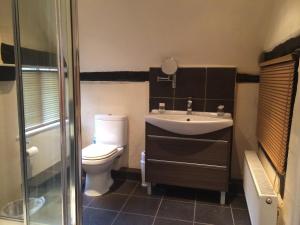 uma casa de banho com um WC, um lavatório e um chuveiro em The Half Moon Inn em Woking