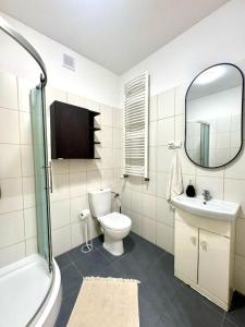 Un baño con inodoro, lavabo y espejo. en Apartament Zagrodowa, en Oświęcim