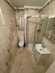 a bathroom with a shower and a toilet and a sink at Stare Miasto 10 in Malbork