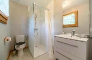 a bathroom with a shower and a toilet and a sink at Chalet SOL LA MI in Soultzeren