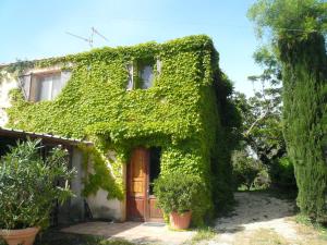 a house covered in green ivy with a wooden door at Le Case Del Vivaio in Sciacca