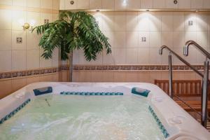 a jacuzzi tub in a room with a palm tree at Hotel Cis in Świnoujście +81 photos